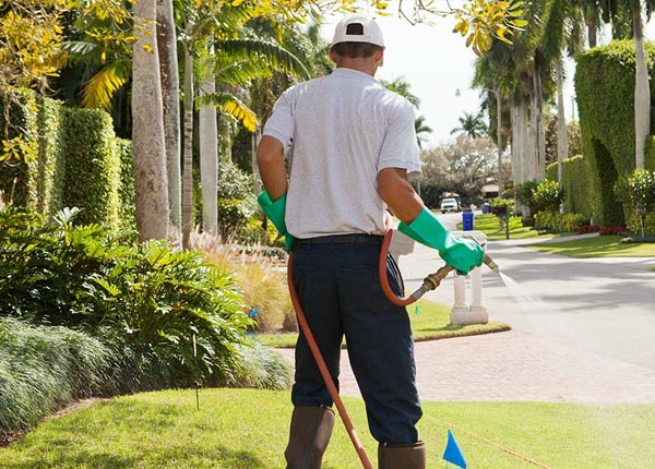 About Concord NC Pest Control Pros